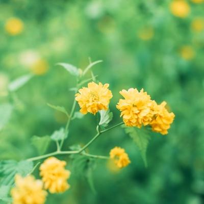 八仙封神传九游版下载